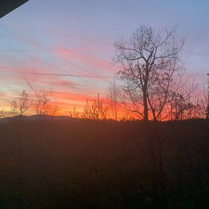 Meet your Posher, Amelia